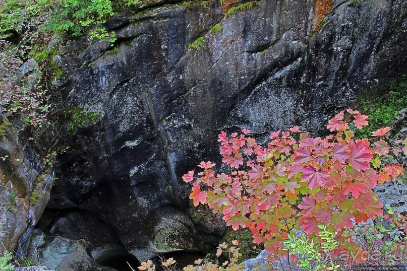 В гостях у Радуги. Вода мрамор точит