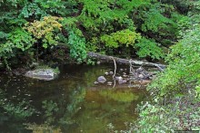 В гостях у Радуги. Вода мрамор точит