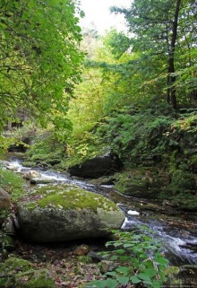 В гостях у Радуги. Вода мрамор точит