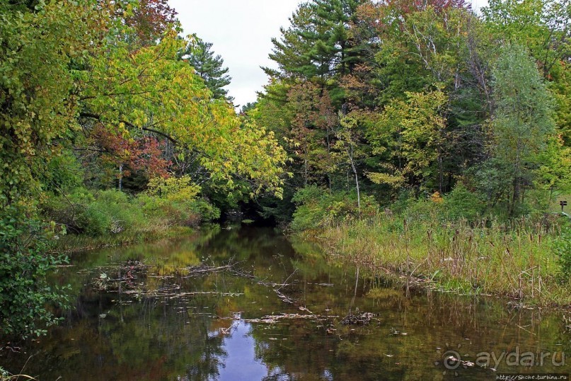 В гостях у Радуги. Вода мрамор точит