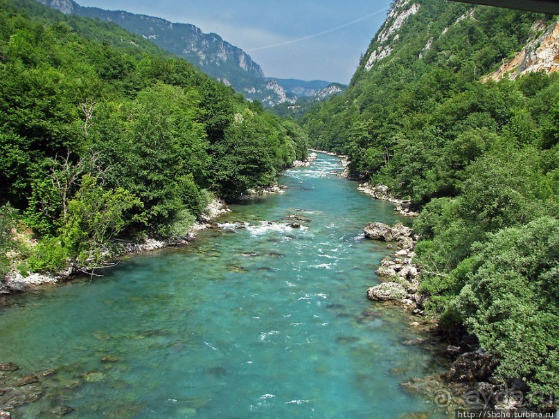 Альбом отзыва "Грандиозный каньон реки Тара. Виды с воды"