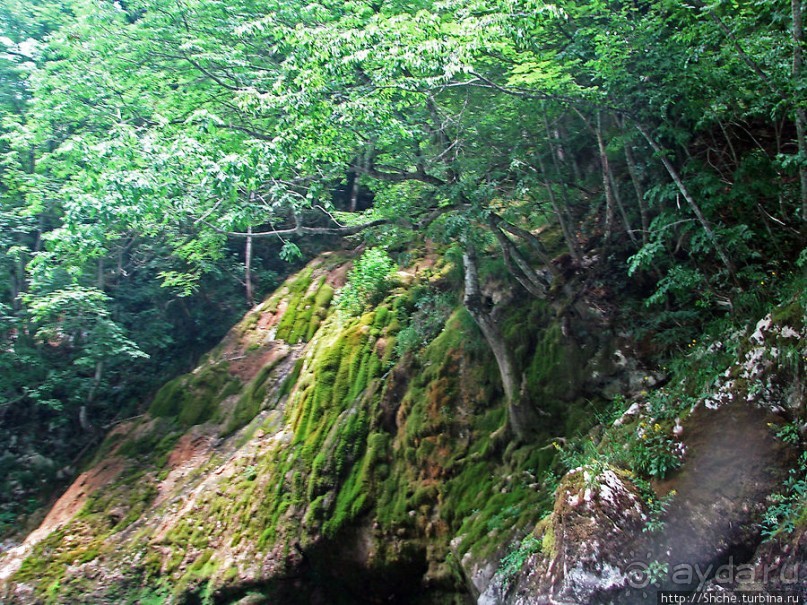 Грандиозный каньон реки Тара. Виды с воды
