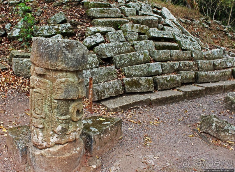 Так писали майя... Барельефы и стеллы древнего Копана