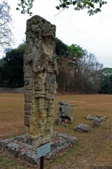 Так писали майя... Барельефы и стеллы древнего Копана