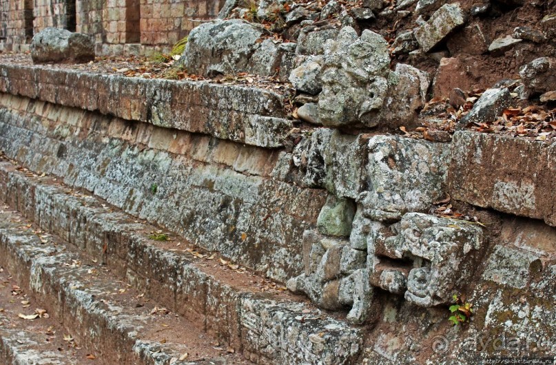 Так писали майя... Барельефы и стеллы древнего Копана