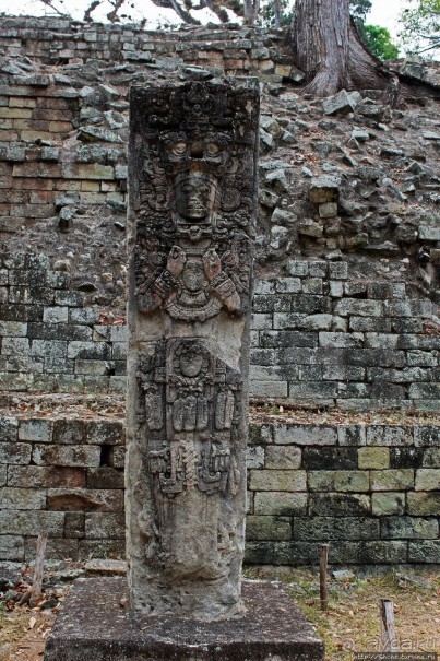 Так писали майя... Барельефы и стеллы древнего Копана