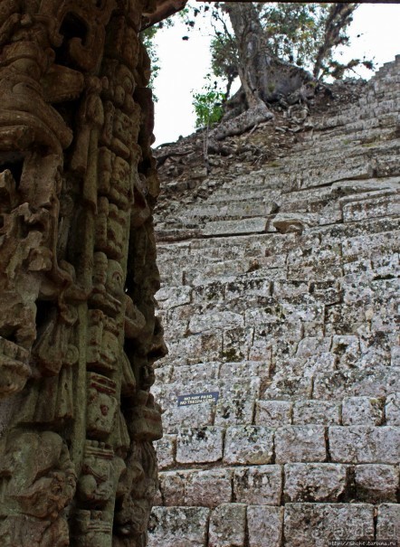 Так писали майя... Барельефы и стеллы древнего Копана