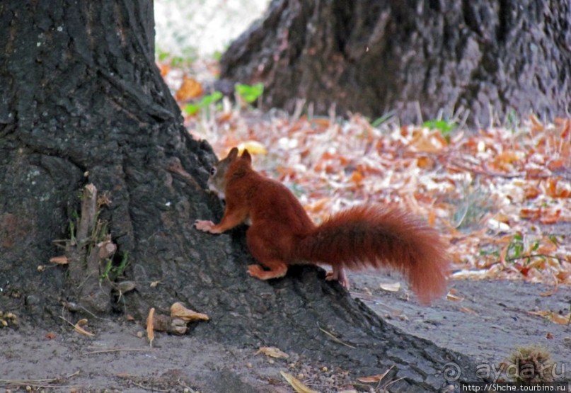 Не туристические районы Вены