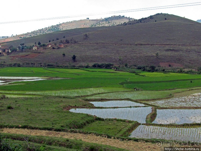 Мадагаскар. Продолжаем путь на юг. Проезжаем Манандону