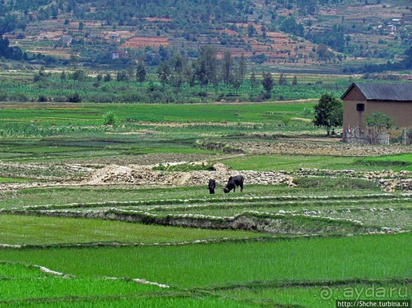 Мадагаскар. Продолжаем путь на юг. Проезжаем Манандону