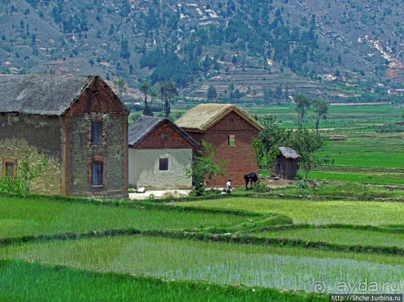 Мадагаскар. Продолжаем путь на юг. Проезжаем Манандону