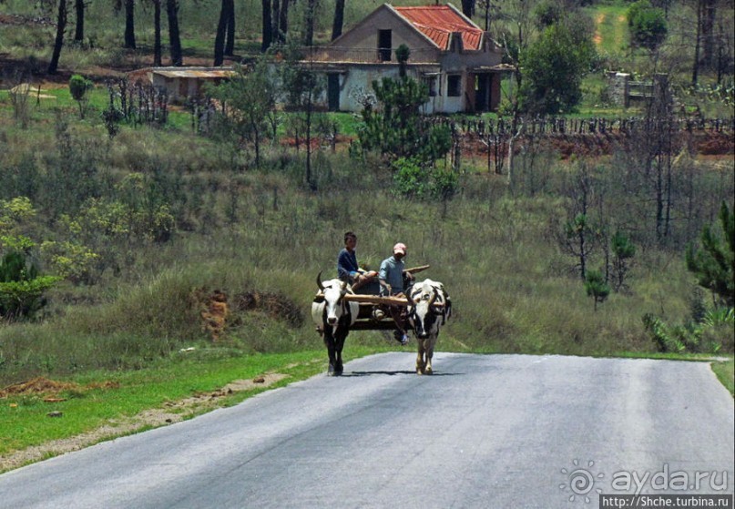 Мадагаскар. Продолжаем путь на юг. Проезжаем Манандону