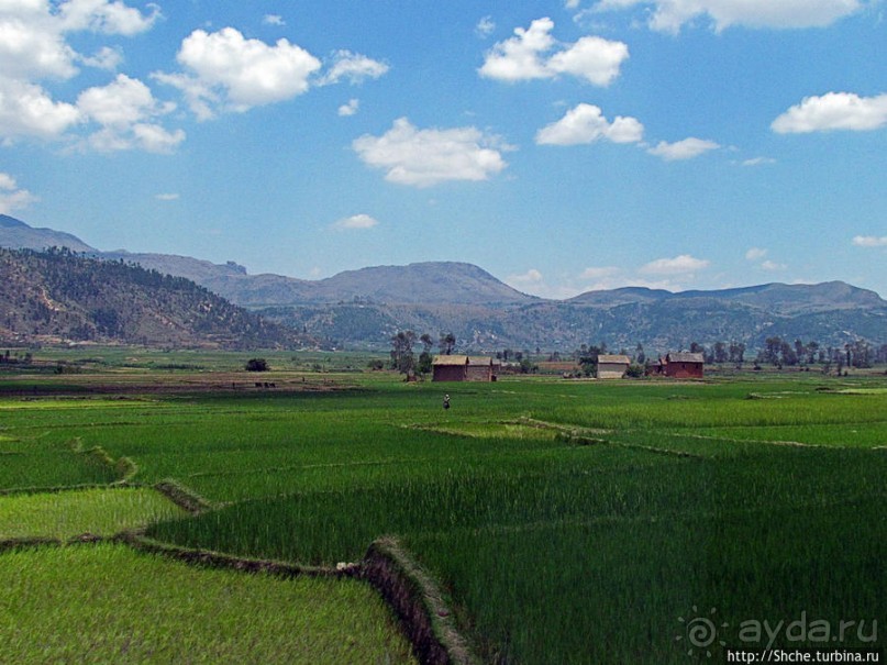 Мадагаскар. Продолжаем путь на юг. Проезжаем Манандону