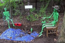 Гигантский муравьед, снежный барс и красная панда