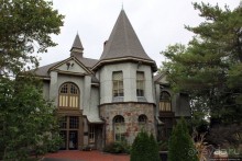 Гигантский муравьед, снежный барс и красная панда