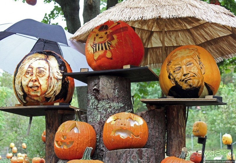 Гигантский муравьед, снежный барс и красная панда