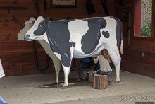 Гигантский муравьед, снежный барс и красная панда