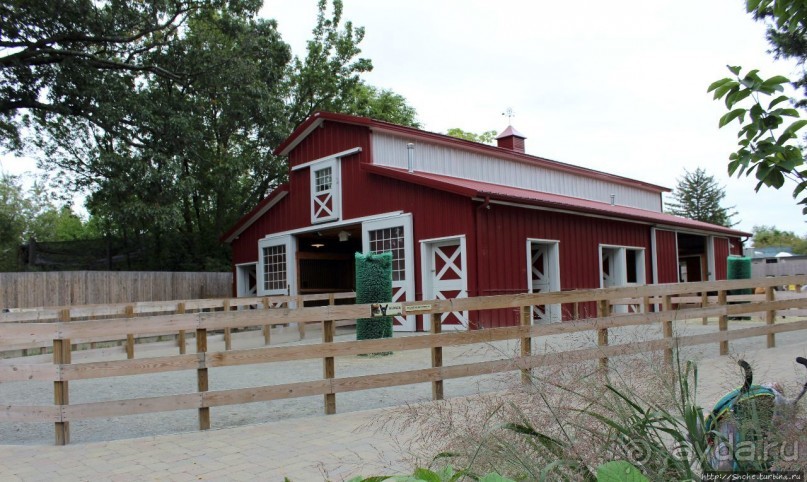 Гигантский муравьед, снежный барс и красная панда