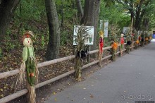 Гигантский муравьед, снежный барс и красная панда