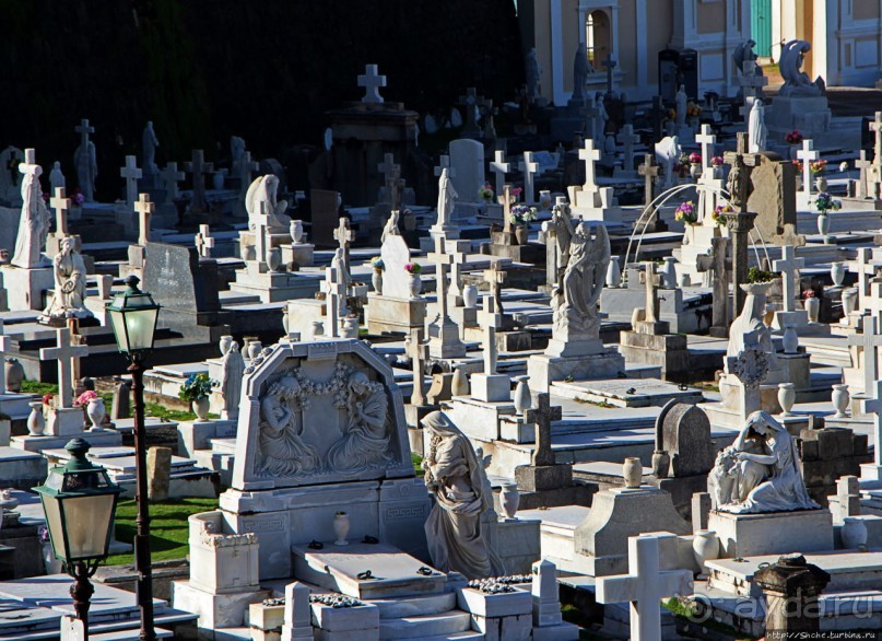 Когда кладбище — это просто красиво