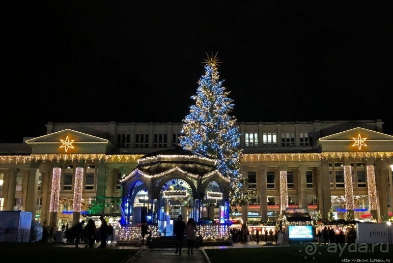 Рождественские метаморфозы. 