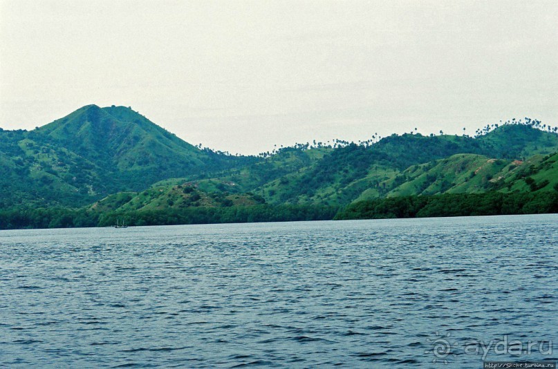 Здесь живет дракон усталый...