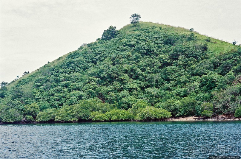 Здесь живет дракон усталый...