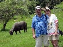 Здесь живет дракон усталый...