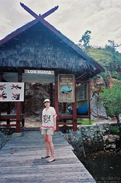 Здесь живет дракон усталый...