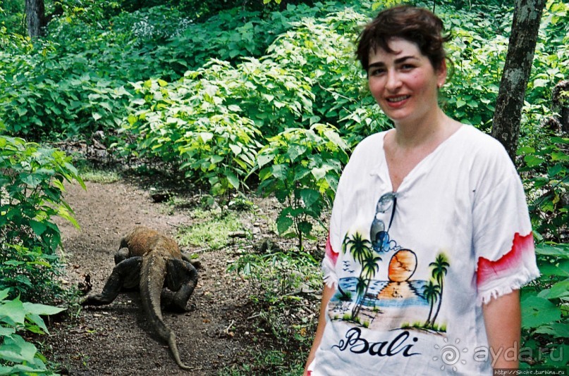 Здесь живет дракон усталый...