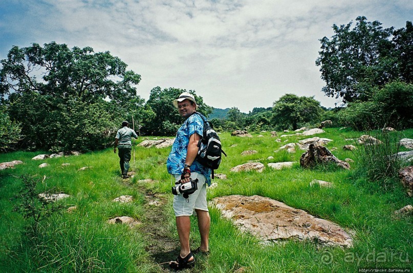 Здесь живет дракон усталый...