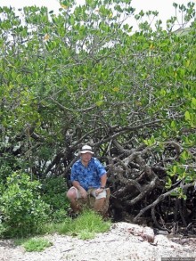 Здесь живет дракон усталый...