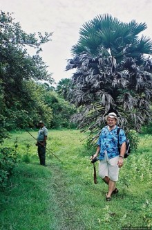 Здесь живет дракон усталый...