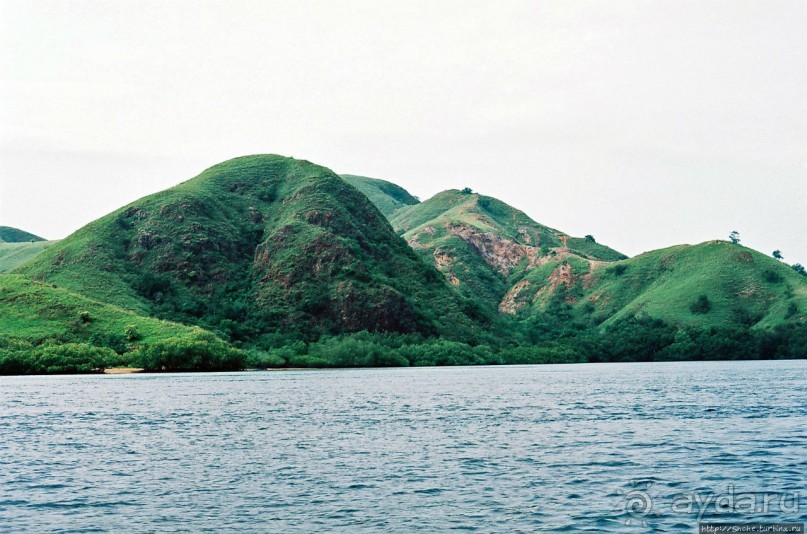 Здесь живет дракон усталый...