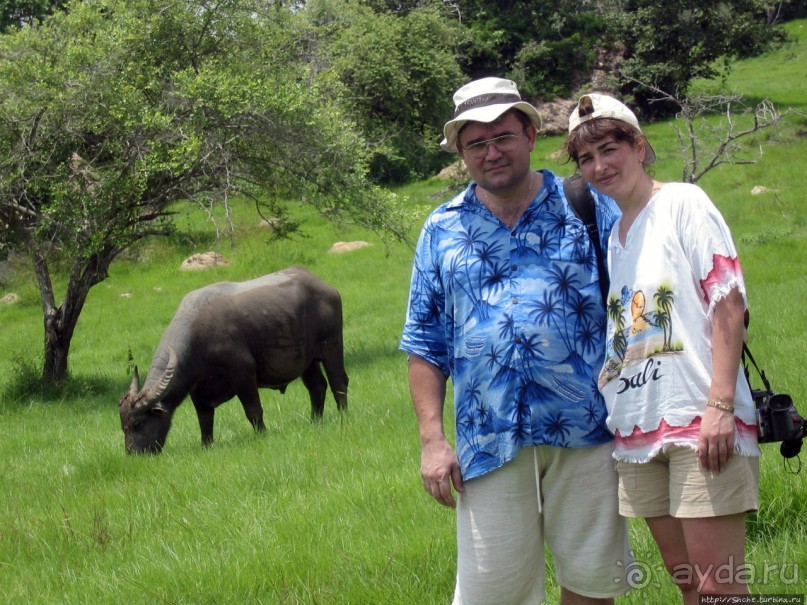 Здесь живет дракон усталый...