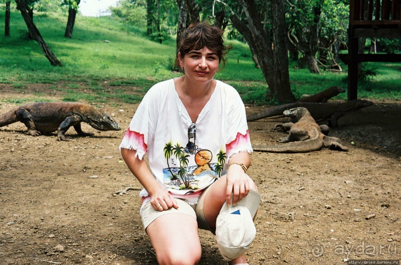 Здесь живет дракон усталый...