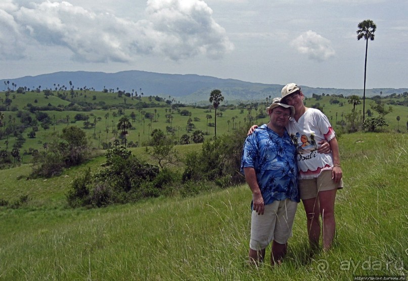 Здесь живет дракон усталый...