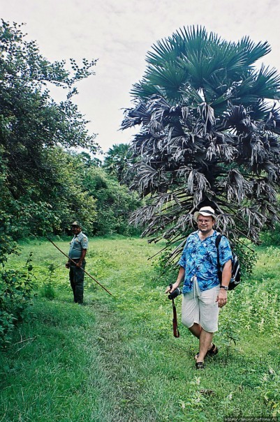 Здесь живет дракон усталый...