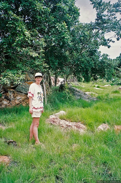 Здесь живет дракон усталый...