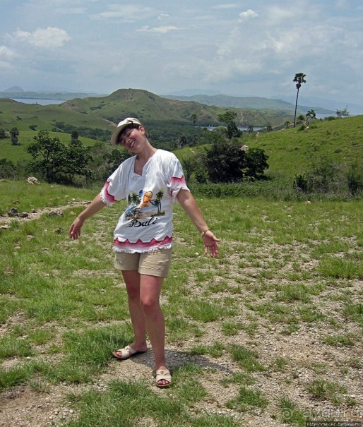 Здесь живет дракон усталый...