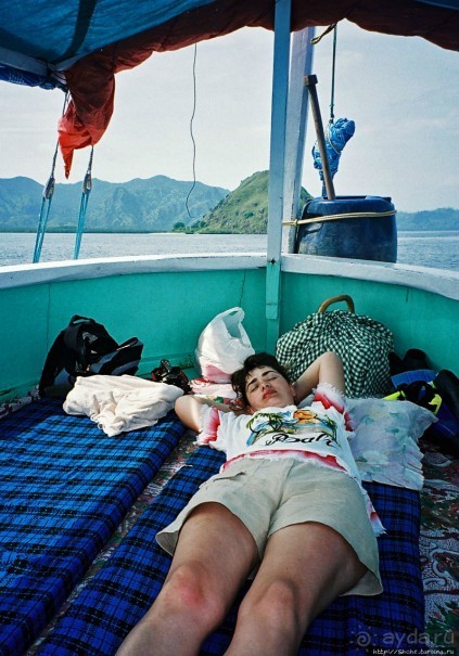 Здесь живет дракон усталый...