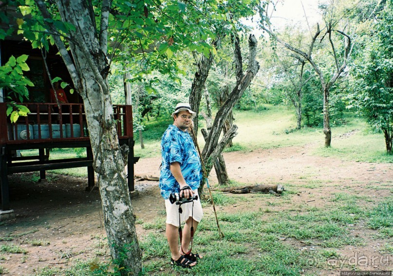 Здесь живет дракон усталый...