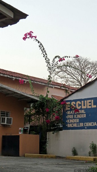 Город на любой вкус