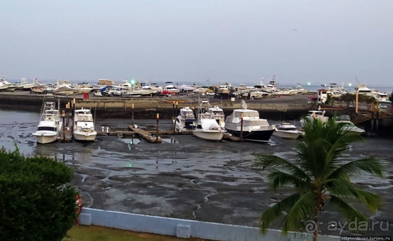 Город на любой вкус