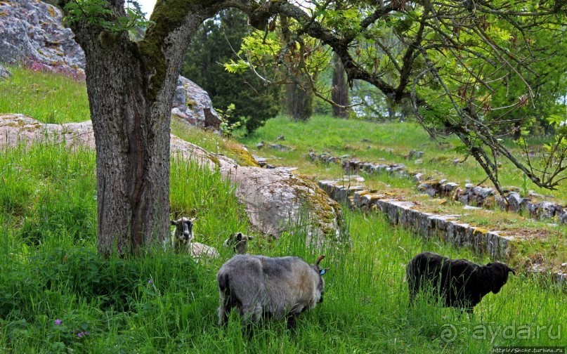 Аланды 1800-х под открытым небом