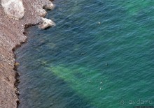 Альбом отзыва "Плотина Гувера и искусственное озеро Мид"