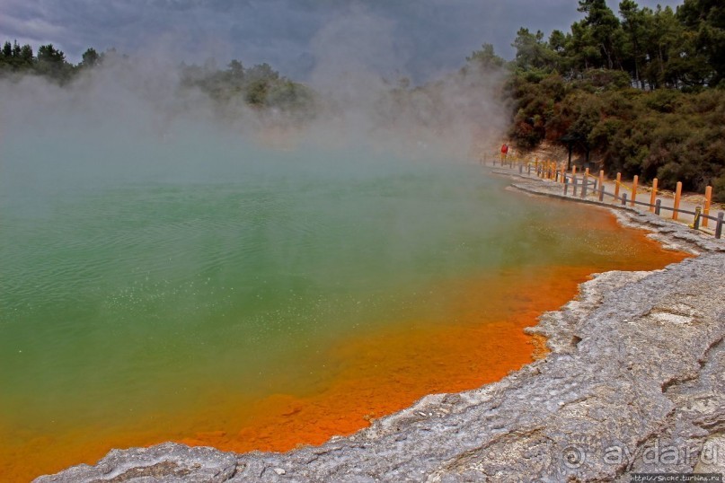 Бассейн с шампанским — теплое игристое с красными краями