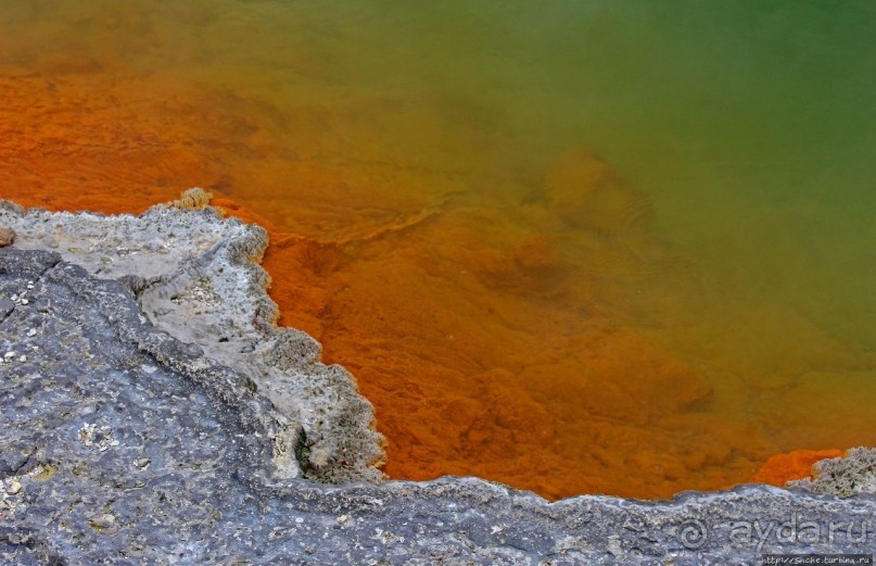 Бассейн с шампанским — теплое игристое с красными краями