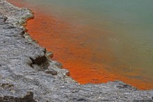 Бассейн с шампанским — теплое игристое с красными краями