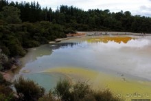 Бассейн с шампанским — теплое игристое с красными краями